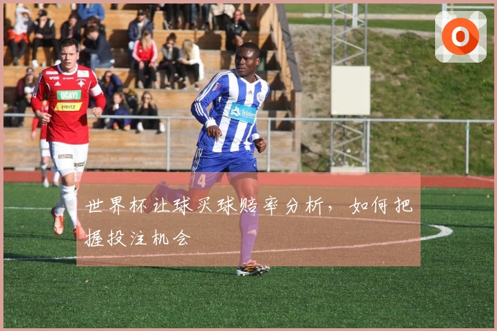 世界杯让球买球赔率分析，如何把握投注机会