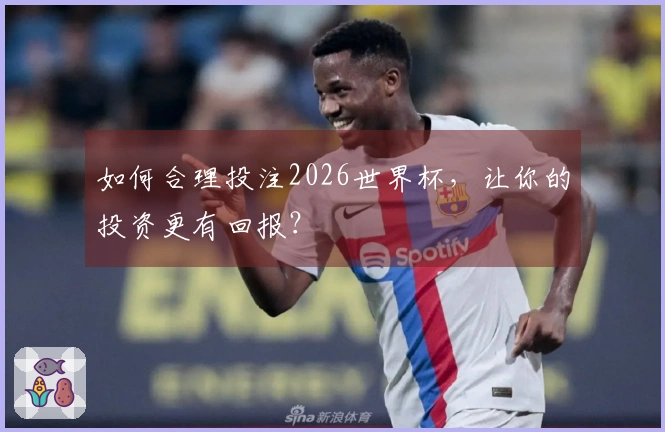 如何合理投注2026世界杯，让你的投资更有回报？