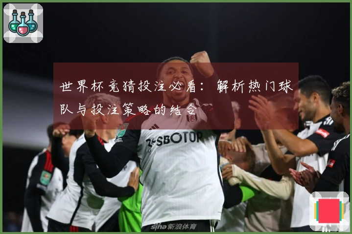 世界杯竞猜投注必看：解析热门球队与投注策略的结合