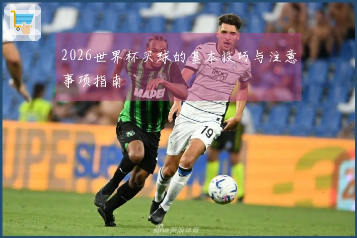 2026世界杯买球的基本技巧与注意事项指南