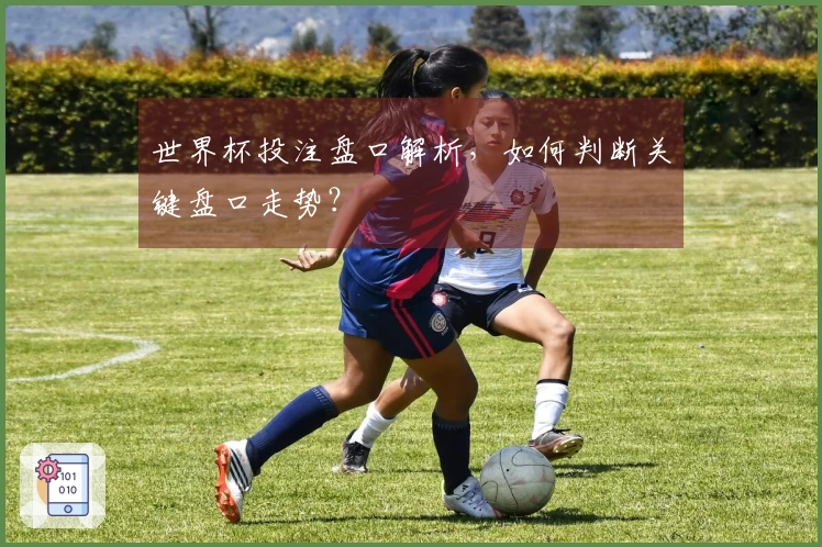 世界杯投注盘口解析，如何判断关键盘口走势？
