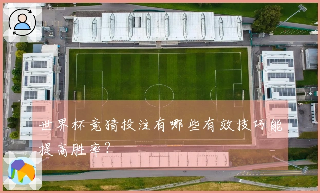 世界杯竞猜投注有哪些有效技巧能提高胜率？