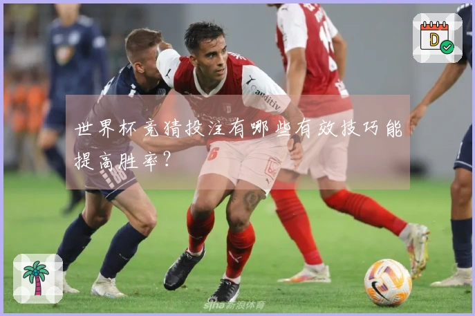 世界杯竞猜投注有哪些有效技巧能提高胜率？