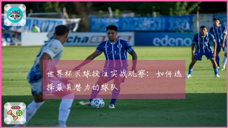 世界杯买球投注实战观察：如何选择最具潜力的球队