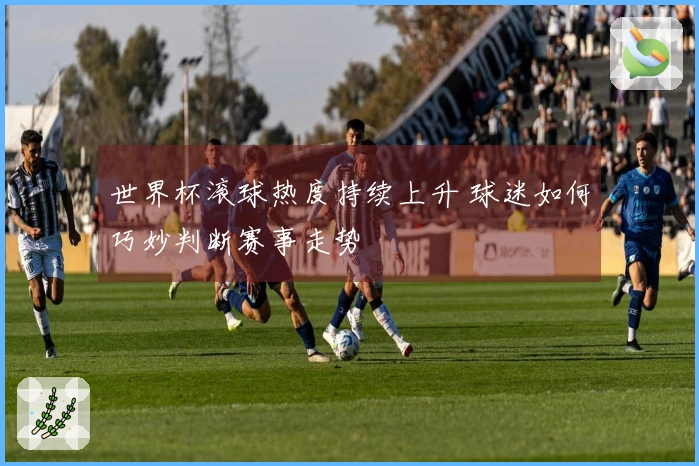 世界杯滚球热度持续上升 球迷如何巧妙判断赛事走势